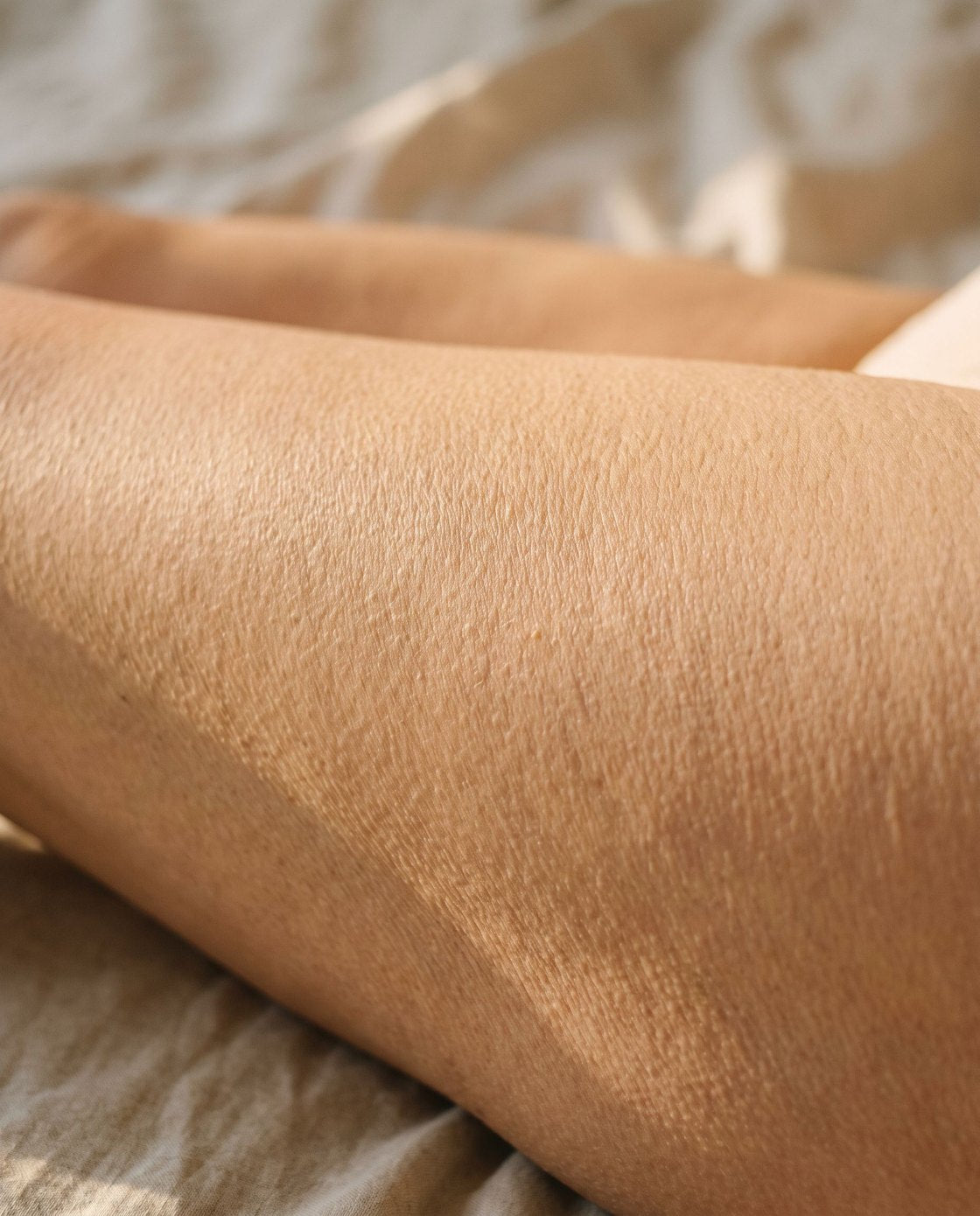 A close-up of natural skin texture in warm light